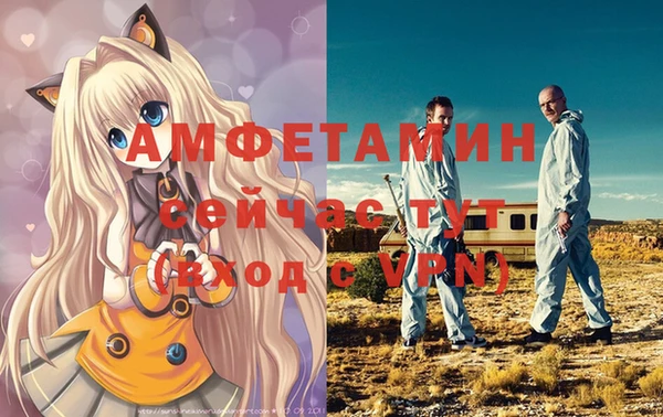 твердый Домодедово