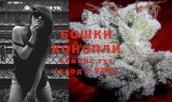 твердый Домодедово