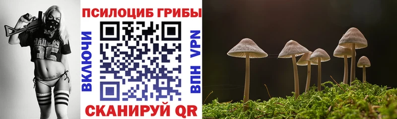 Галлюциногенные грибы ЛСД Гаврилов Посад