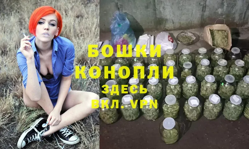 площадка официальный сайт  Гаврилов Посад  Каннабис White Widow 